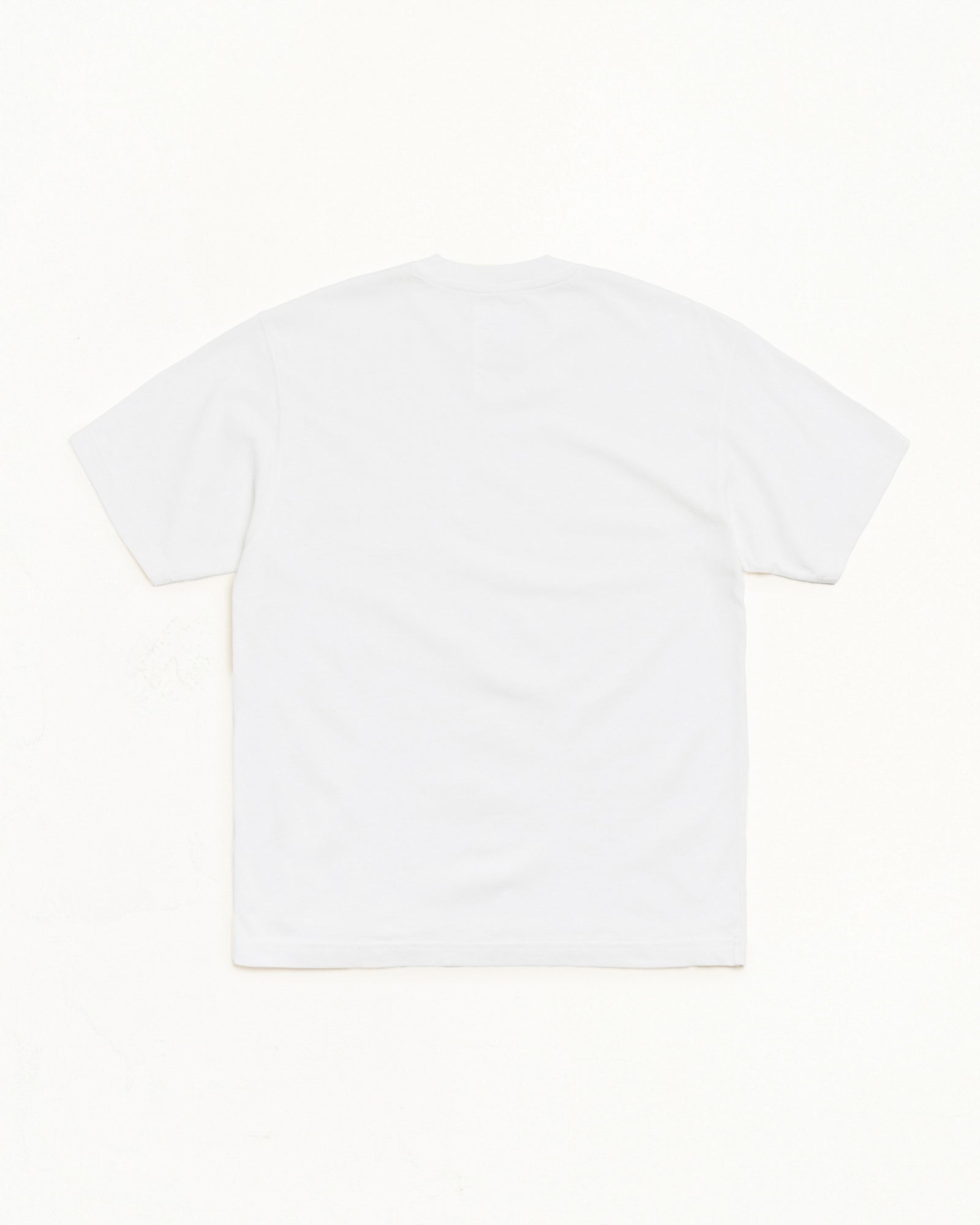 GARMENT DYED SS TEE